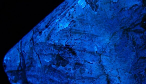 Führung: Geheimnisse der Nacht