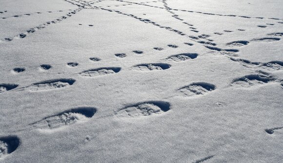 Escursione con le racchette da neve