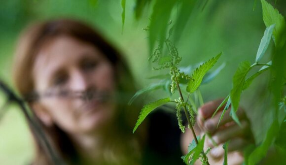 Die Wildkräutermeile