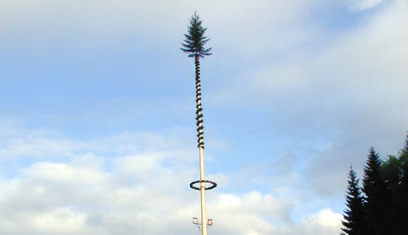Festa dell'albero della cuccagna