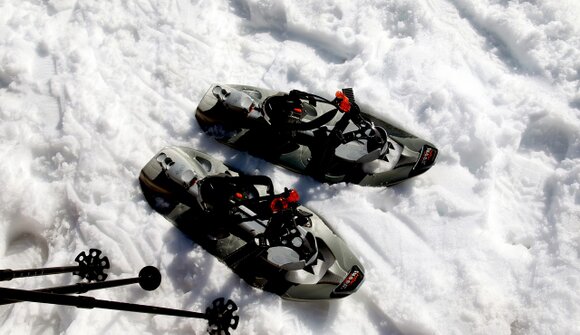 Snowshoeing
