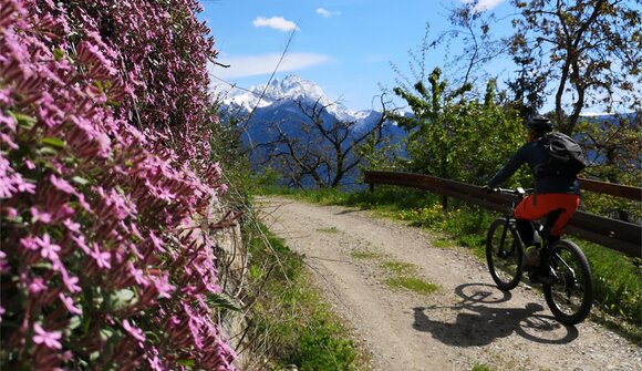E-MTB tour around Merano
