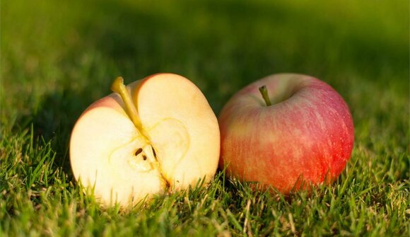 Tutto attorno alla mela