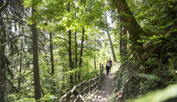 Burgen und Eislöcher im Überetsch