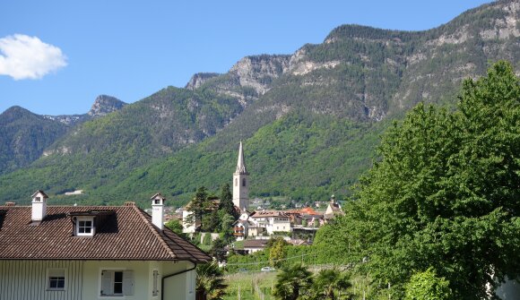 Chronik Filme im Vereinshaus