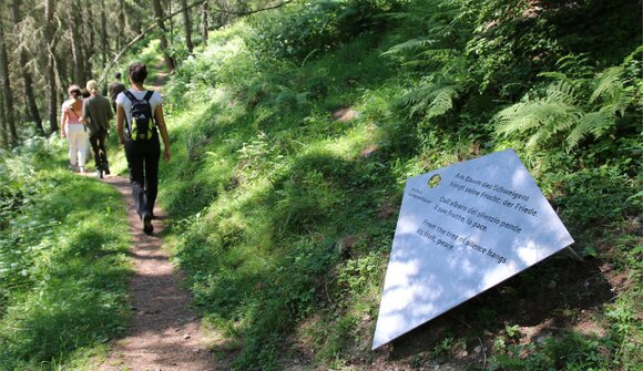 Wanderung - Silentium Weg