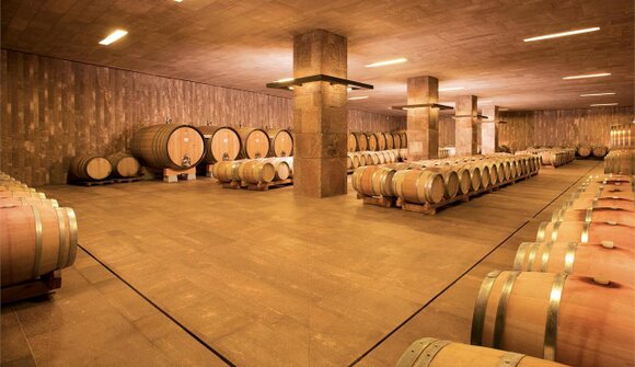 Visita guidata Cantina Terlano