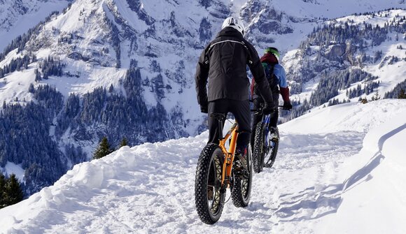 "LA Winter Downhill"