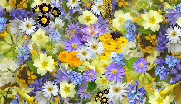 Photo exhibition "Flower parade