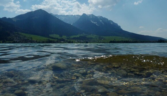 Moorführung in der "Schwemm"