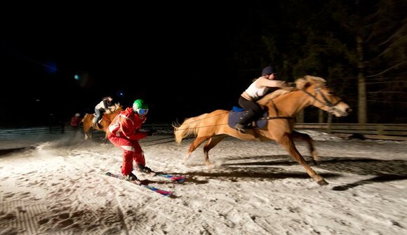 Skikjoring with Haflinger horses