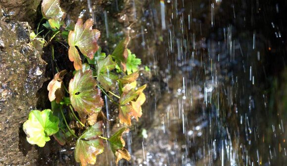 Wanderung "Vom Wasser und vom Licht"