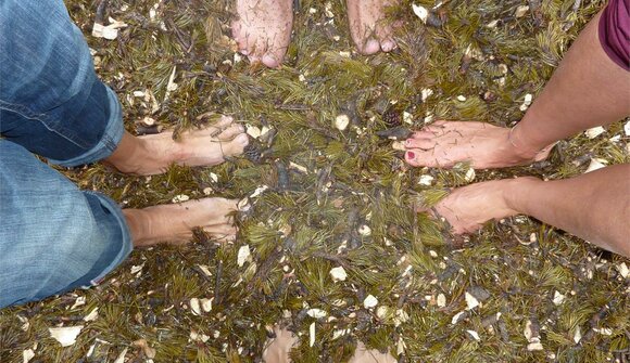 Giovedì: natura pura con tutti i sensi