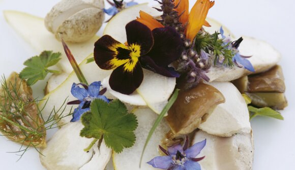 Erbe selvatiche. Sapori del maso