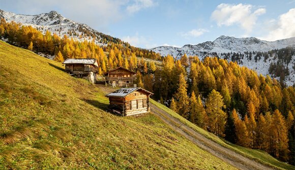 The play of colours in autumn