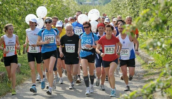 29° Half Marathon Merano-Lagundo