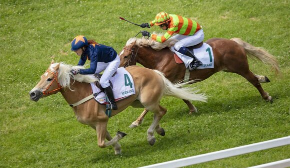 Corse al galoppo all'Ippodromo