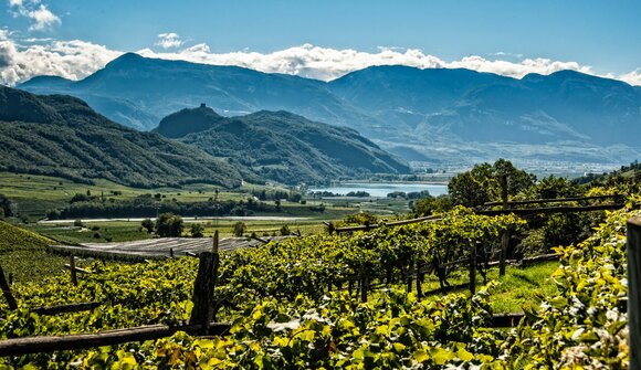 Weinbaulagen-Tour: Weingut Klosterhof