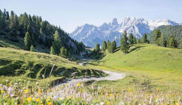 Dolomiti "Highlight Tour"
