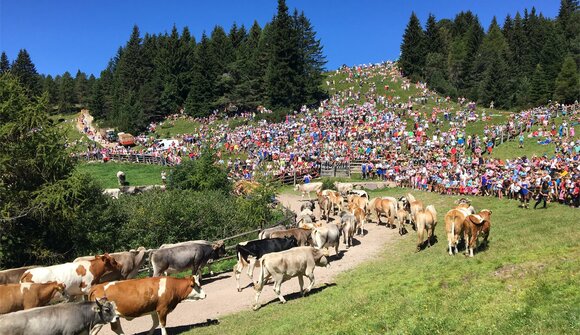 Eventi suggeriti