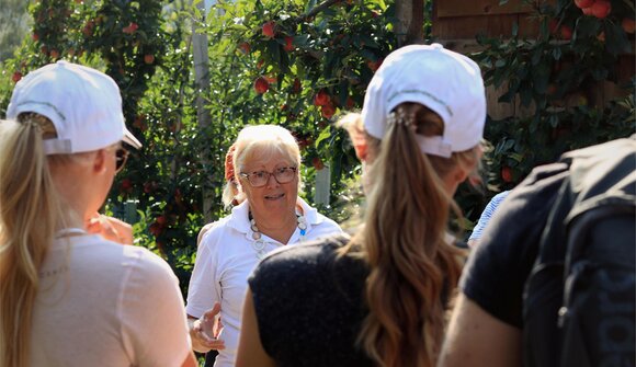 Apple tour through the apple meadows