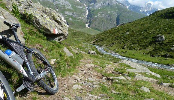 MTB: Über Stock & Stein - Speikboden
