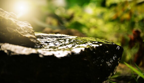 I riti dell'eterna giovinezza