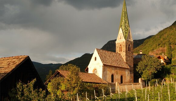 Ecologia nella vigna - Messnerhof