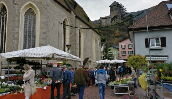 Monatsmarkt: Palmmarkt