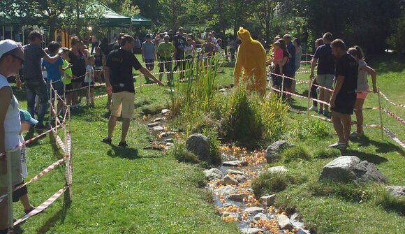 Rubber Duck Race