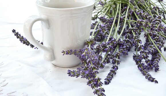 Lecture - fungal, flowers and herbs