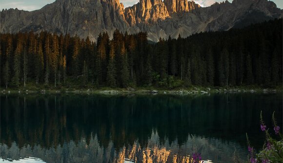 Konzert der Band "ZeitLous"