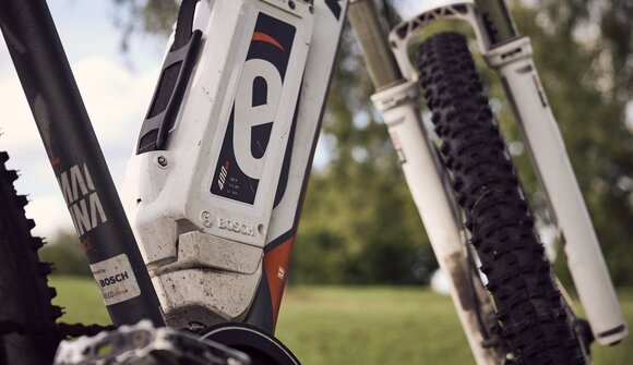 Geführte Almen Tour mit E-Mountainbike