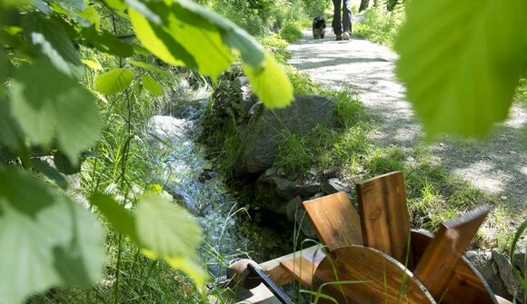 Le vie d'acqua del Monte Sole