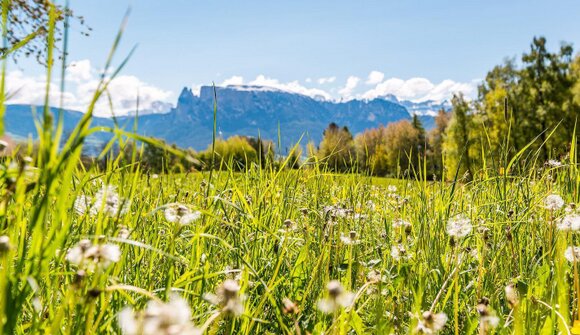 Guided hike with music