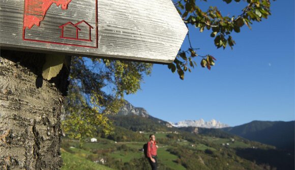 Live Musik "Hofer Alpl"