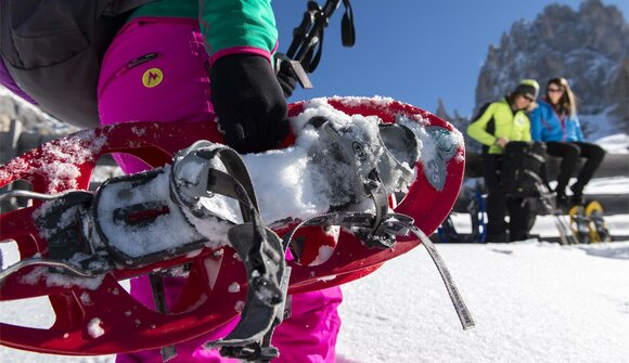 Schneeschuhwanderung: Frommeralm