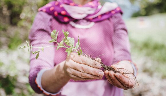Fra prati, boschi e meraviglie