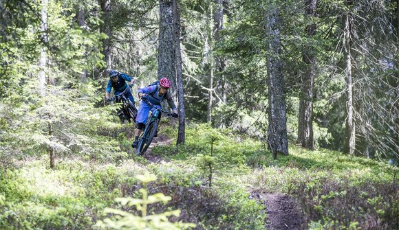 MTB "Giro" Single Trail Tour