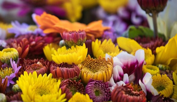 Flower Market