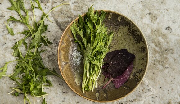 Wild herbs in the kitchen