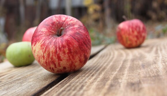 Workshop: Grüne Kosmetik