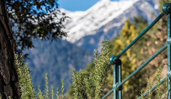 Segreti di Merano giardino d’inverno