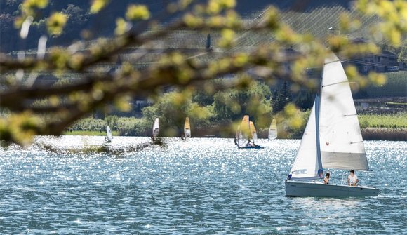Sailing Regatta "Seemeisterschaft"