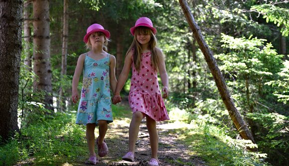 L'asilo nel bosco