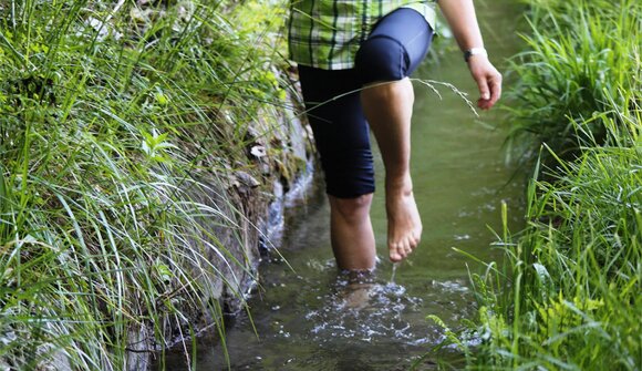 Erbe e Kneipp: accoppiata vincente