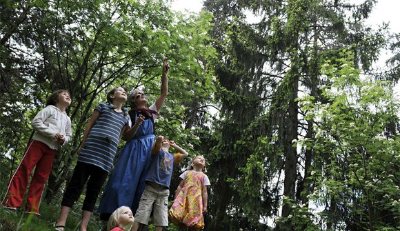 Escursione al mulino di Tisana