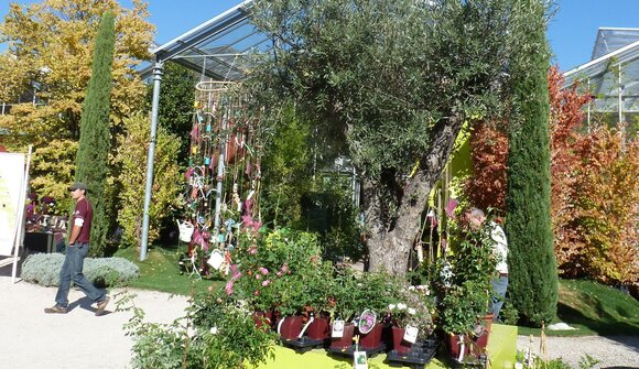 Kräuterführung im Klostergarten