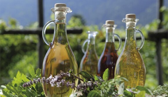 Il mondo delle erbe aromatiche