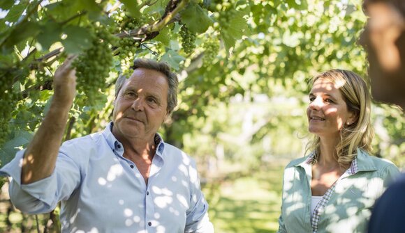 Visita e degustazione - Heinrichshof